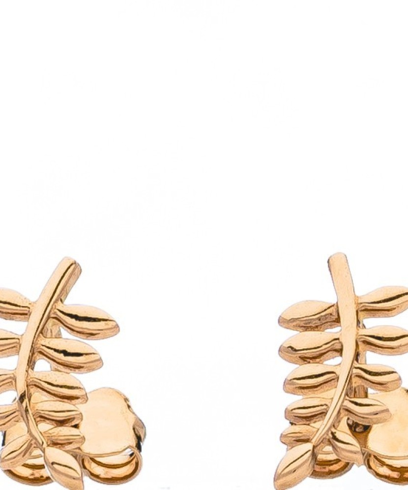 Auksiniai auskarai  - Goldinga