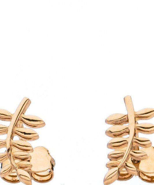 Auksiniai auskarai  - Goldinga