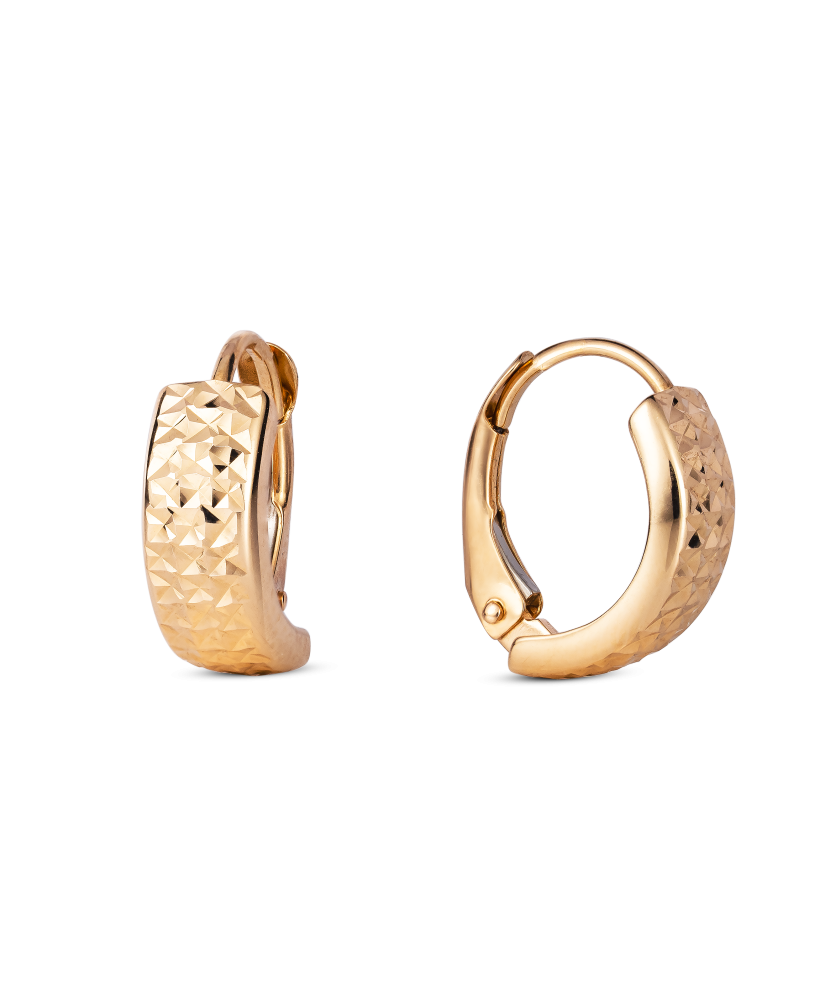 Gold earrings Gold earrings