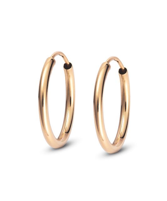 Gold earrings