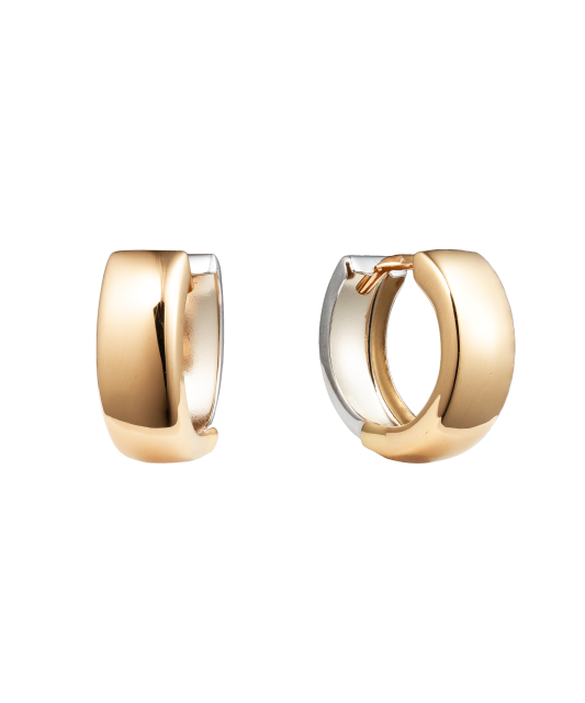 Gold earrings