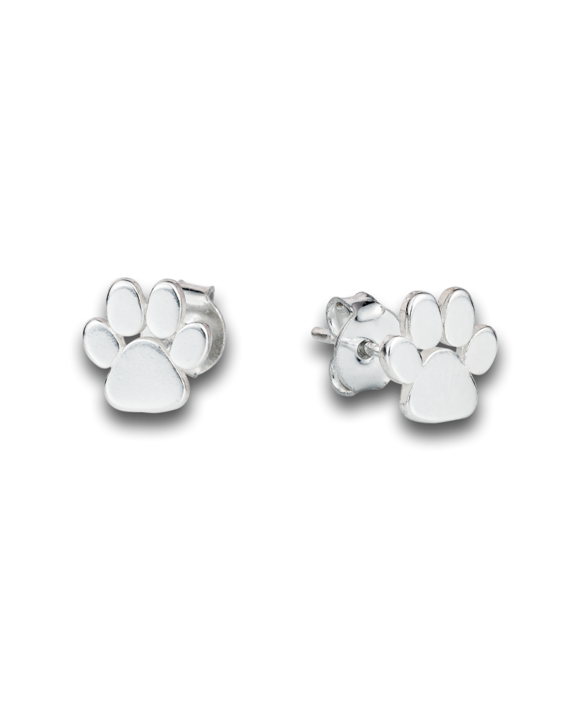 Sterling silver earrings