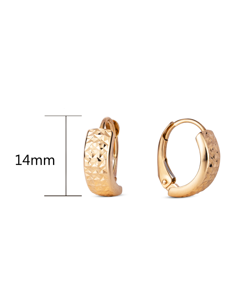 Gold earrings Gold earrings