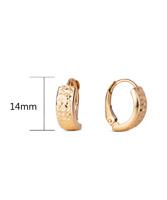 Gold earrings