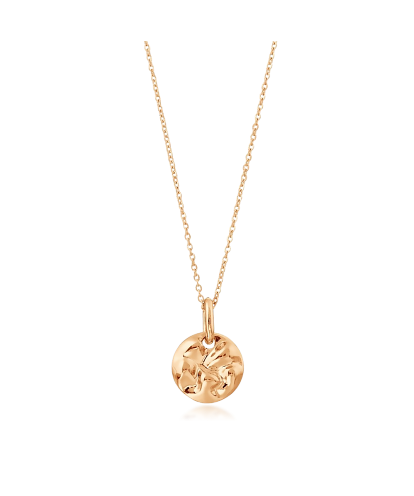 Gold chain with pendant