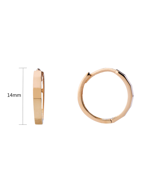 Gold hoop earrings