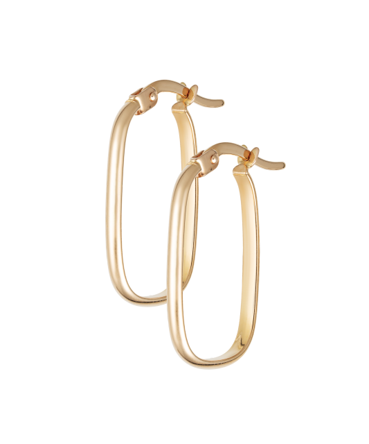 Gold earrings