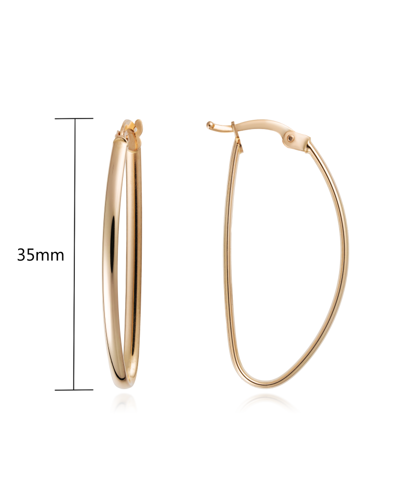 Gold earrings Gold earrings