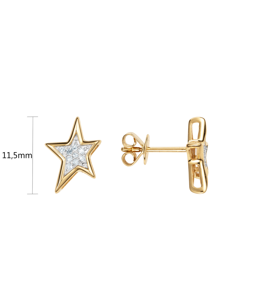 Yellow Gold earrings with diamonds