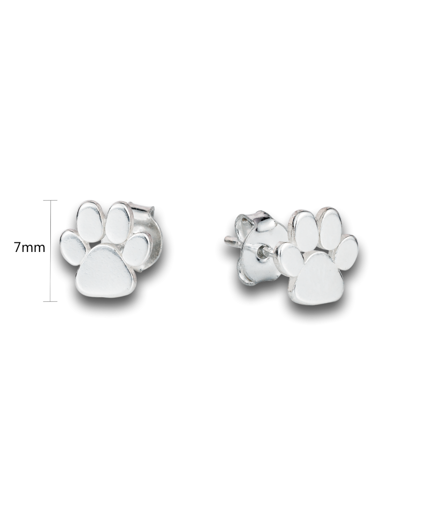 Sterling silver earrings