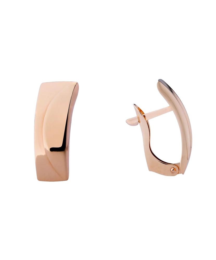 Gold earrings Gold earrings