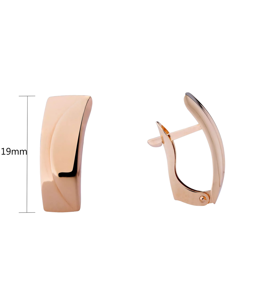 Gold earrings Gold earrings