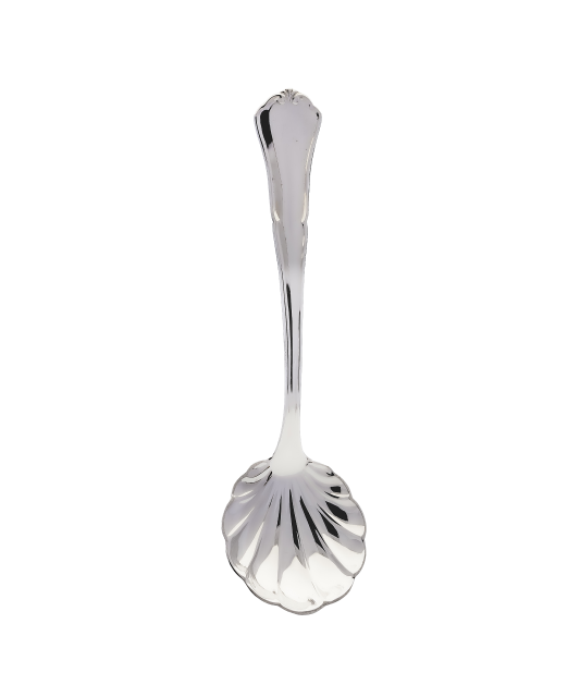 Silver spoon