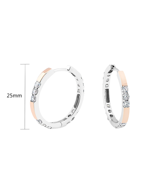 Sterling silver earrings gold plated with zircons