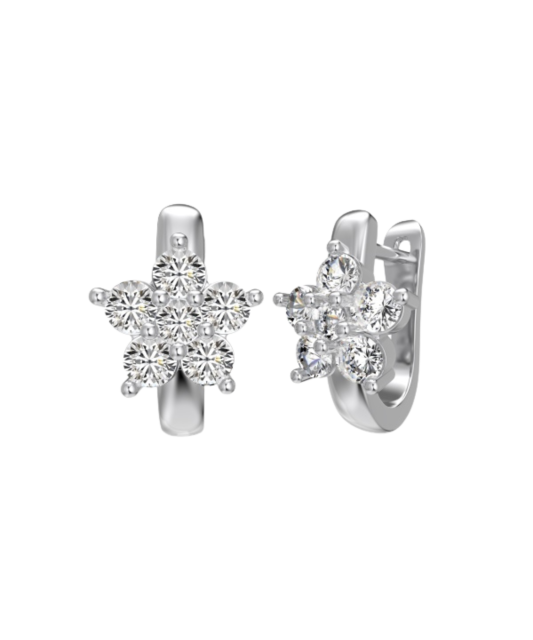 Sterling silver earrings with zircons