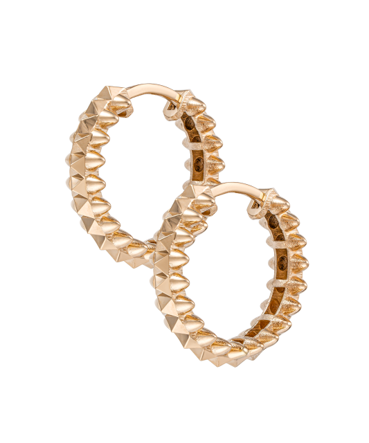 Gold earrings