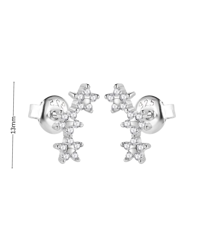 Sterling silver earrings with zircons Sterling silver earrings with zircons