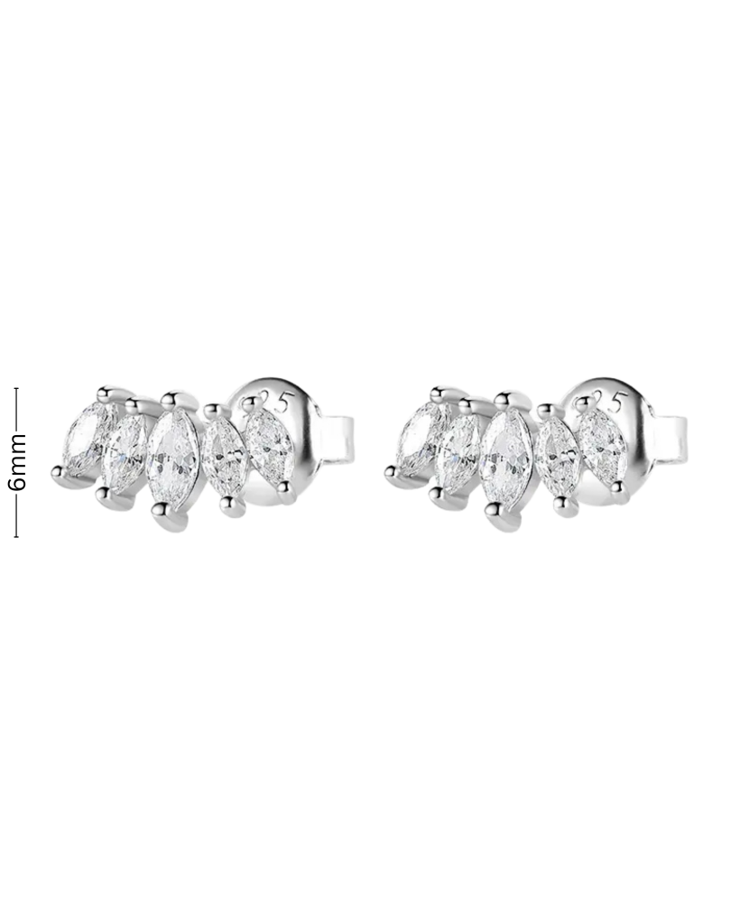 Sterling silver earrings with zircons