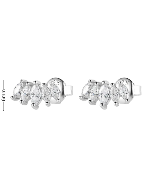 Sterling silver earrings with zircons