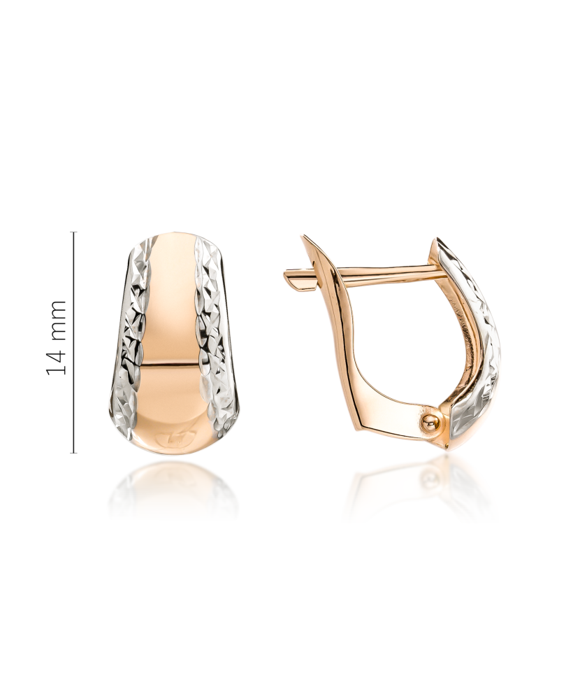 Gold earrings Gold earrings