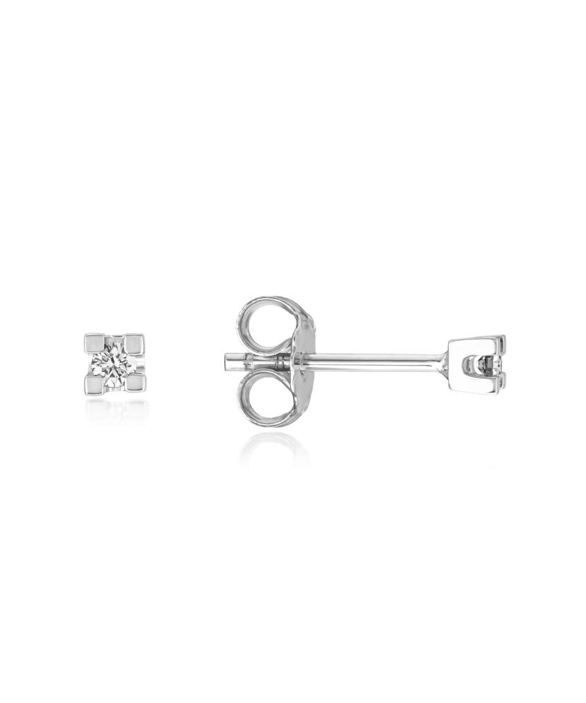 White Gold earrings with diamonds