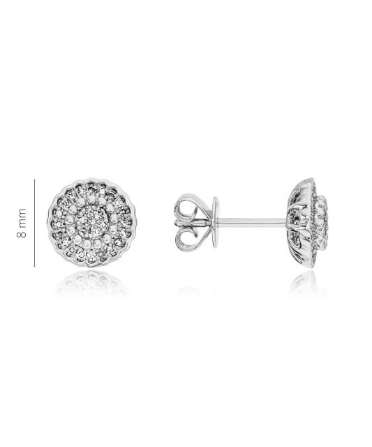 White Gold earrings with diamonds