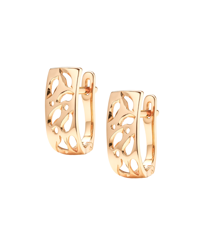 Gold earrings Gold earrings