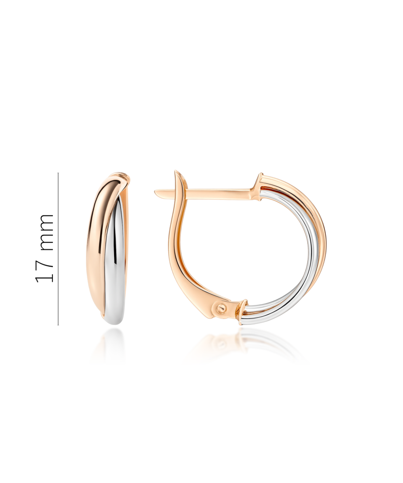 Gold earrings Gold earrings