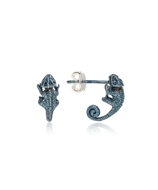 Sterling silver earrings