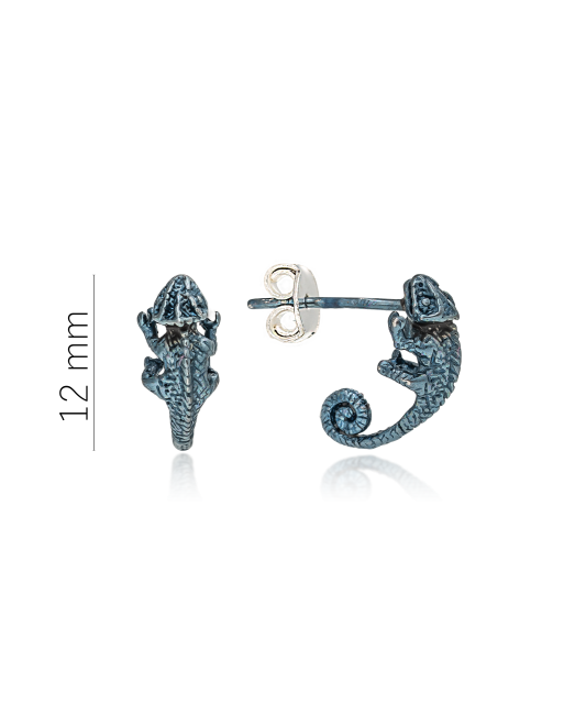 Sterling silver earrings