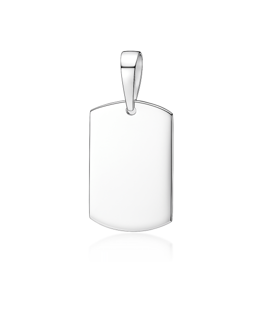 Sterling silver pendant "Plate"