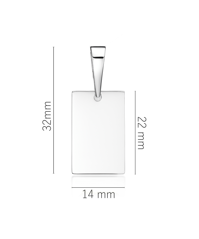 Sterling silver pendant "Plate"