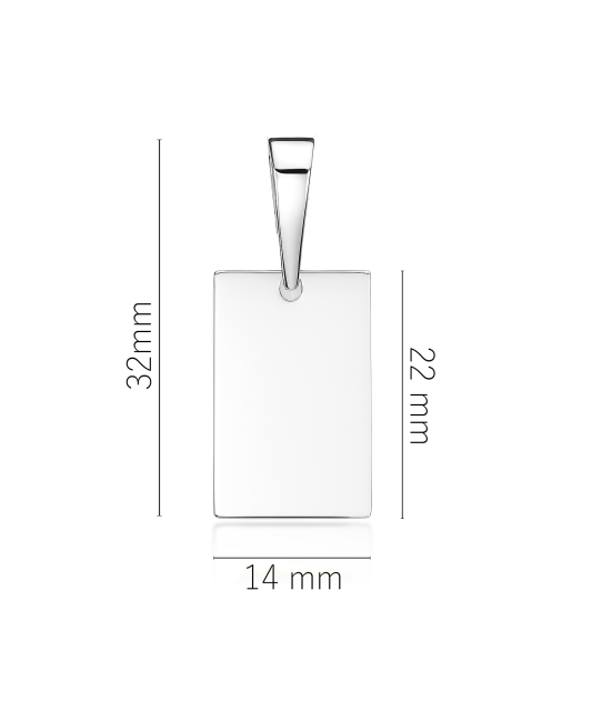 Sterling silver pendant "Plate"