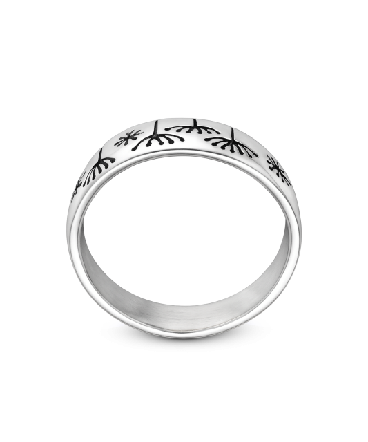 Серебряное кольцо