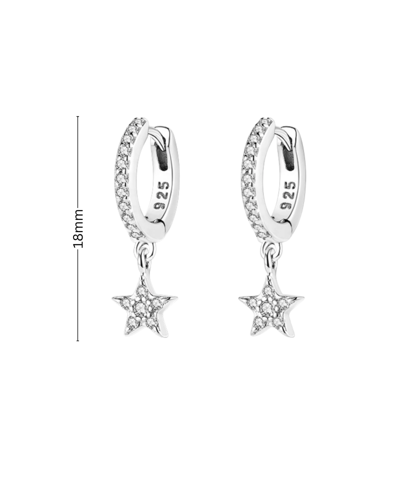 Sterling silver earrings with zircons