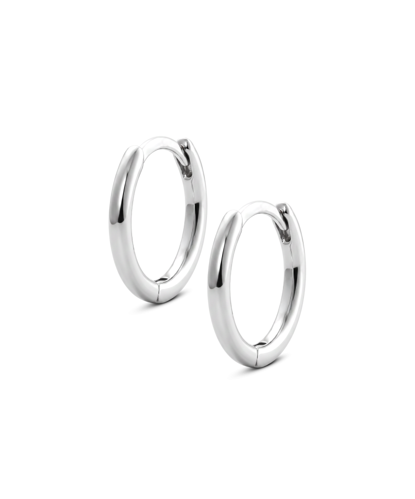 Sterling silver earrings