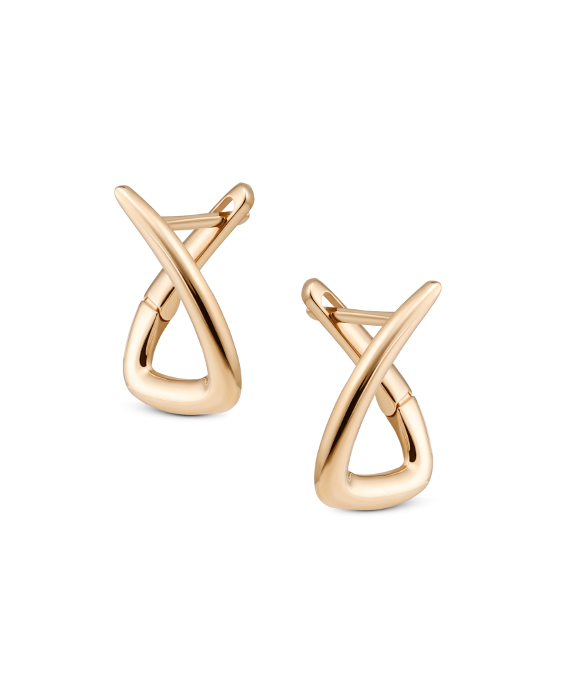 Gold earrings