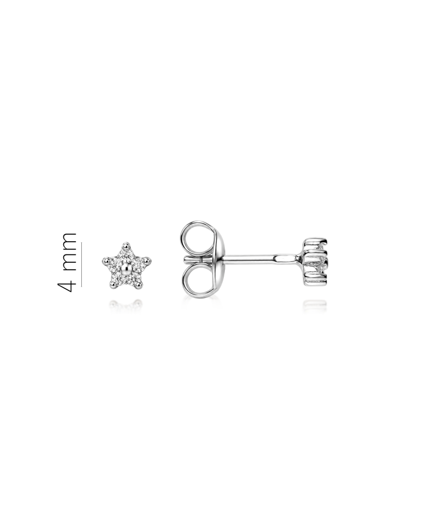 Sterling silver earrings with zircons