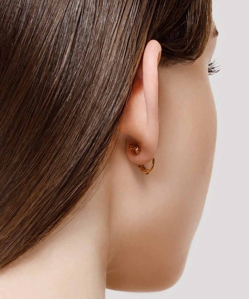 Gold earrings with zircons Gold earrings with zircons